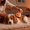 Why Your Home Still Smells With Pets? The Real Reason Might Be Fur Care