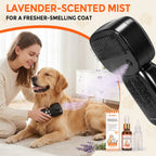 Cold Plasma Pet Brush Lite