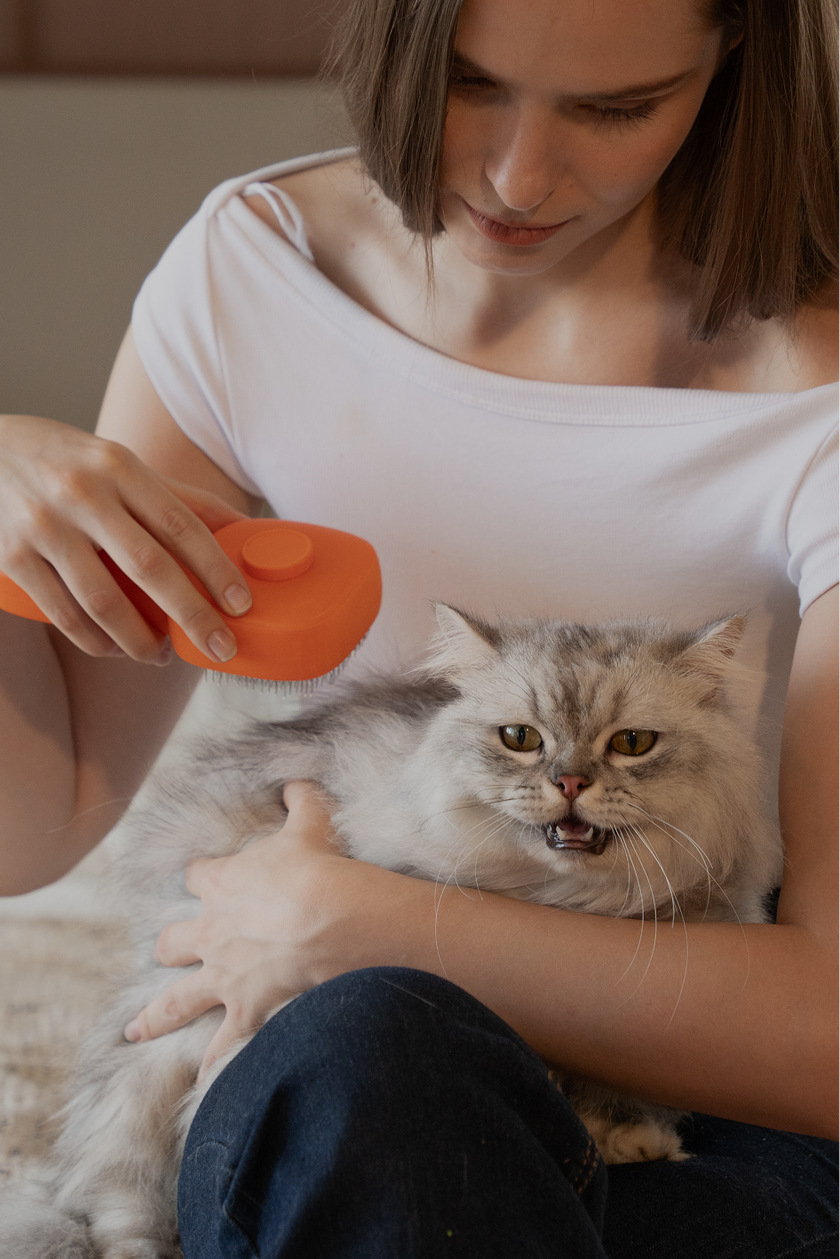 DSC06639 1.png__PID:a85260e7-2e33-4e4b-82c4-c4154744a317