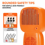 Cold Plasma Pet Brush Pro