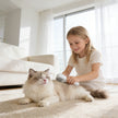 Storovic™ Cold Plasma Multi-Function Pet Brush