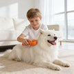 Storovic™ Cold Plasma Multi-Function Pet Brush